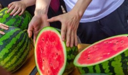 免费吃瓜哪里,带你探索网络娱乐新趋势